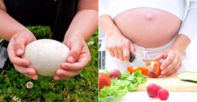Hành trình cuộc đời: Khám phá các giai đoạn phát triển của người phụ nữ  