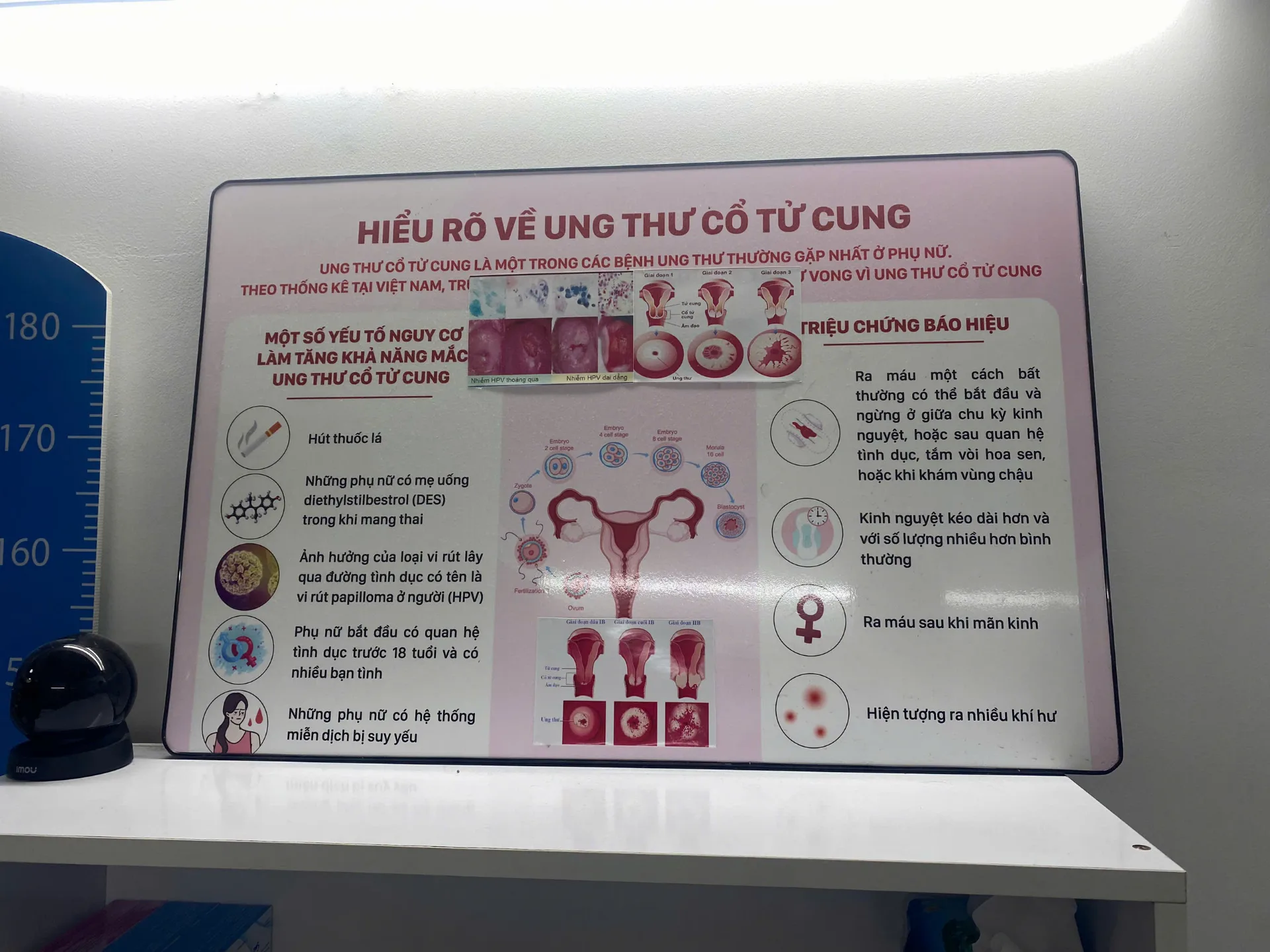 Khám Thai: Những Yếu Tố Quan Trọng Mẹ Bầu Cần Nắm Vững